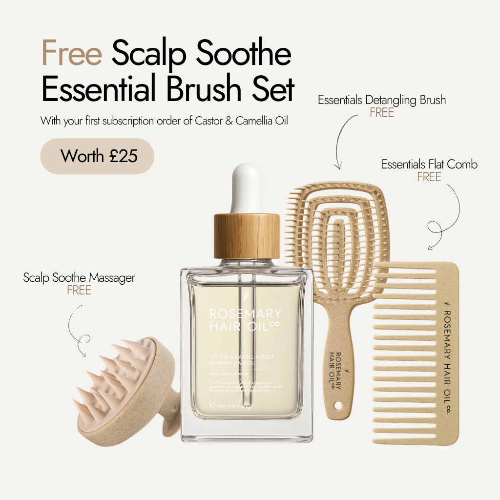 Castor and camellia root renewal hair oil for scalp nourishment and healthier hair growth, free brush set, subscription, offer, flat comb, detangling brush, scalp massager 